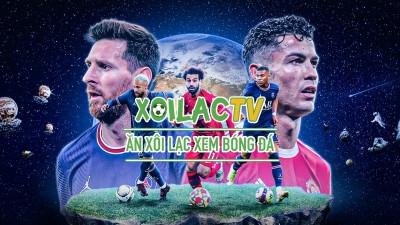 Xem bóng đá trực tiếp: Xoilac TV - xoilac-tv.media đưa bạn đến trận đấu đỉnh cao